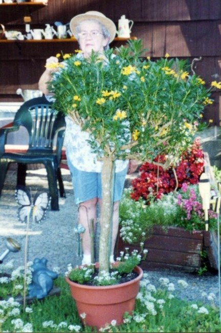 Obituary of Carmel Fay Barker