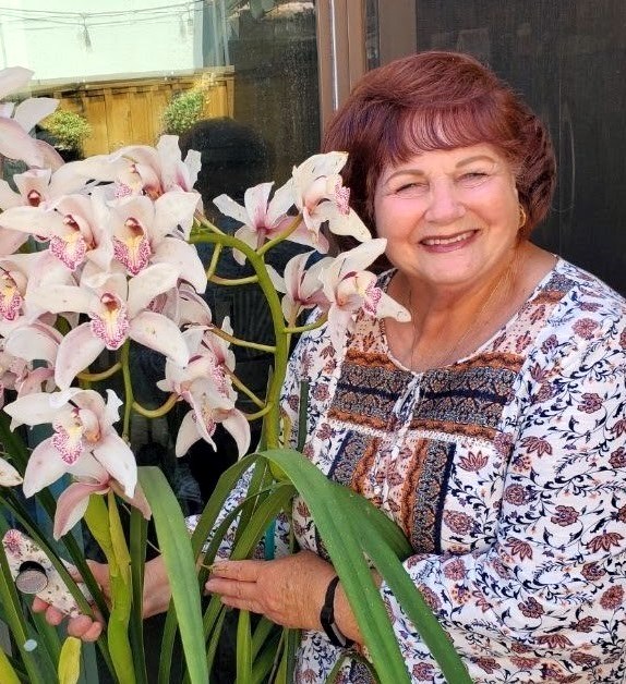 Obituary of Sandra Kay Riddle