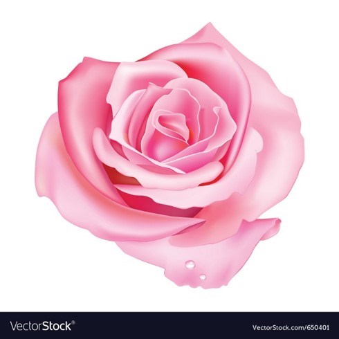 Obituary of Betty J. Bass