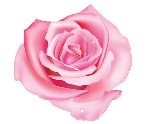 Obituary of Betty J. Bass