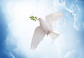 Obituary of Ricardo de la Rosa  Valenzuela