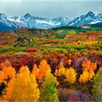 Obituary of Robert ""Bob Eugene Marth