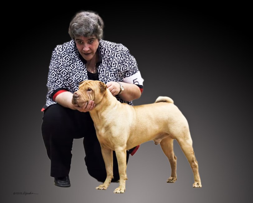 Obituary of Nancy J Napoli