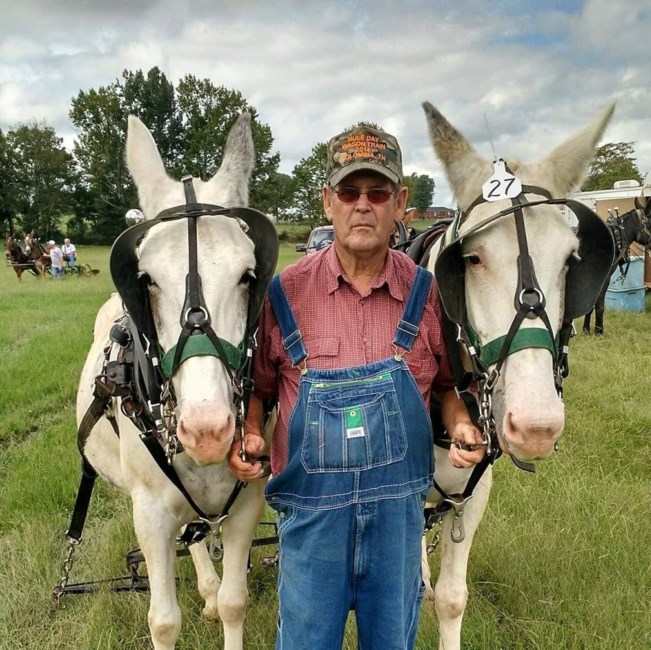 Obituary of Coy Lynn Ricketts