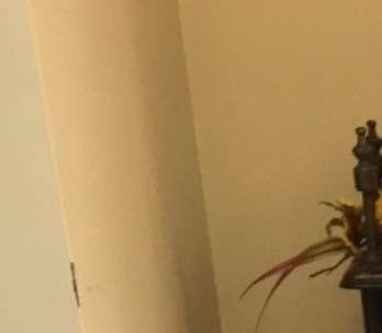 Elizabeth Virginia Ritchie Obituary - Elkridge, MD