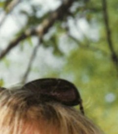 Burton "Burt" Holt Obituary - Overland Park, KS