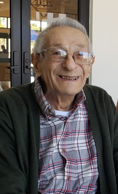 Obituary of Theobaldo L DeLorenzo