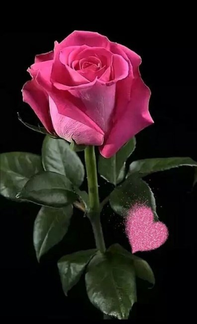 Obituary of Maria Madalena Pimentel