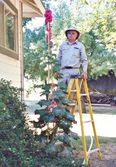 Obituary of Phil Day