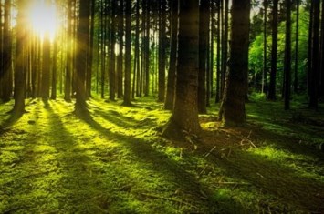 Obituary of Ruben Anthony Magdaleno Jr.