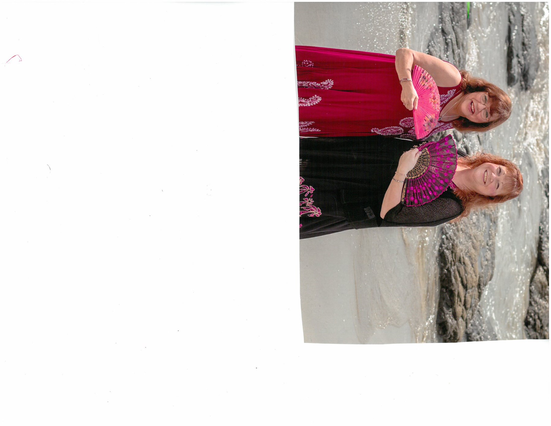 Obituary of Lise Anne Marie Gallant