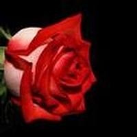 Obituary of Brenda Sue Jennings