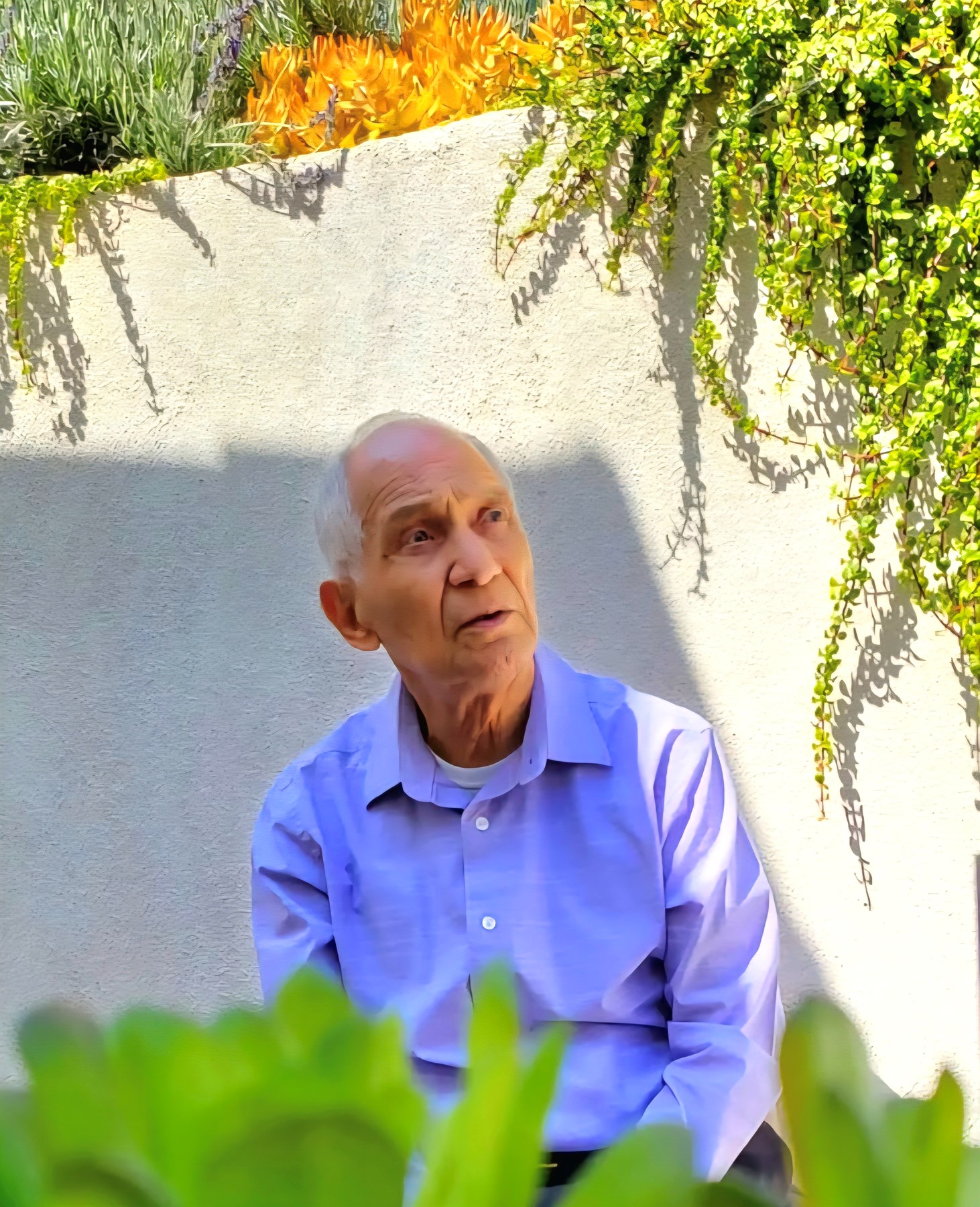 Obituary of Luis Alfonso Estrada