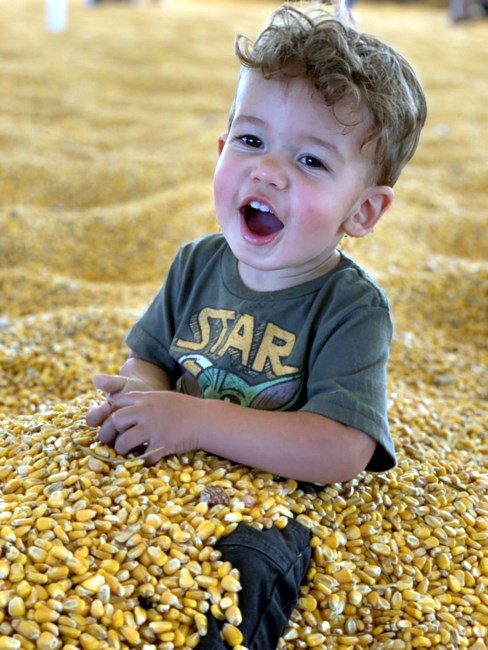 Obituary of Elijah Samuel Hales