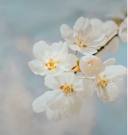 Obituary of Katherine Louise Hudson