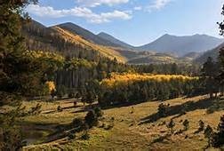 Obituary of Rose Mary Gaie Hamilton