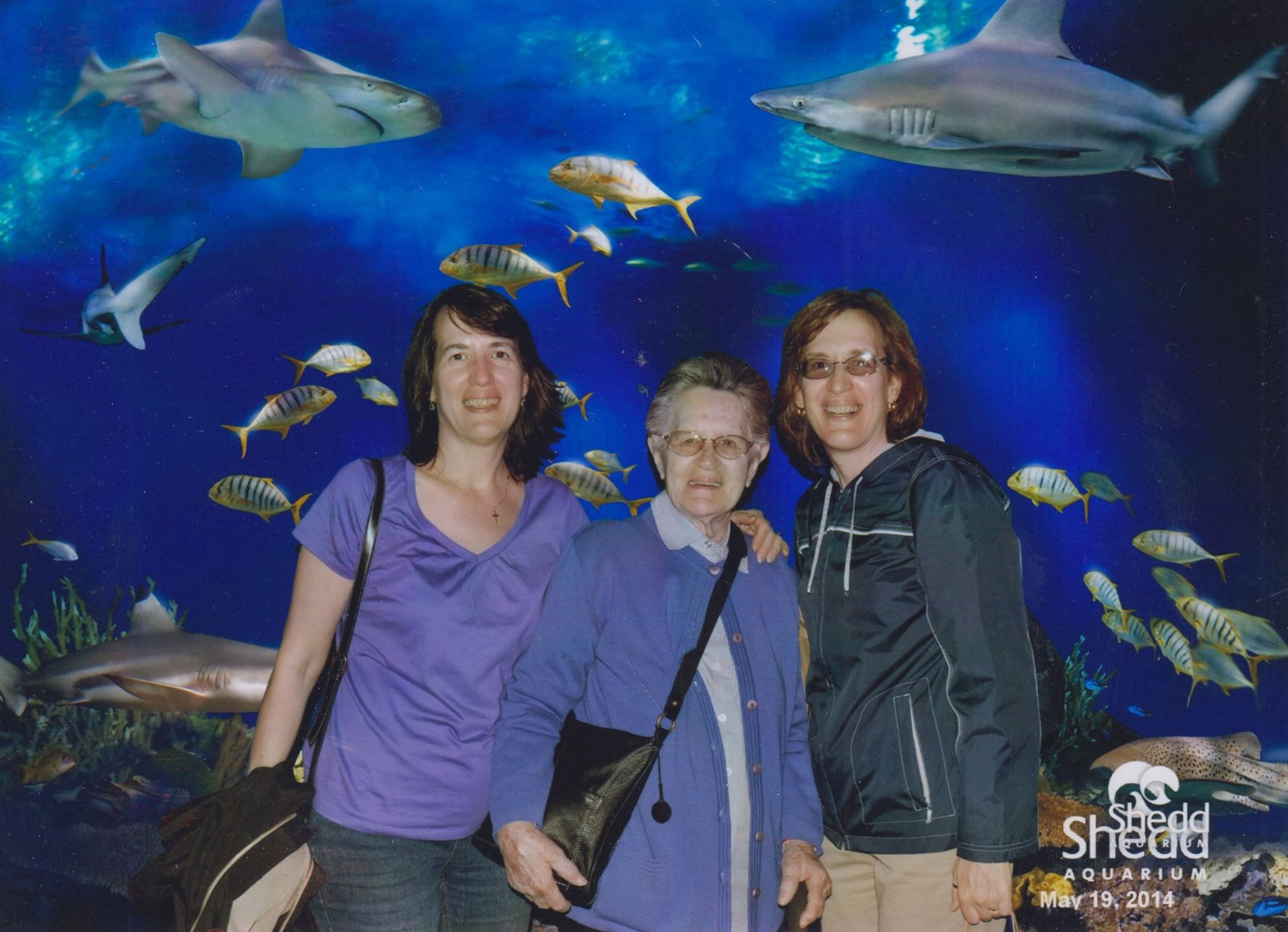 Obituary of Anna Maria Wojcicki