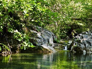 Obituary of Valentine Robert Novak