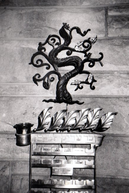 Riverdale Temple Obituary New York Ny