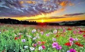 Obituary of Augusta Josepha Kent