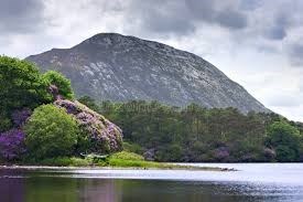 Obituary of David C. Olson