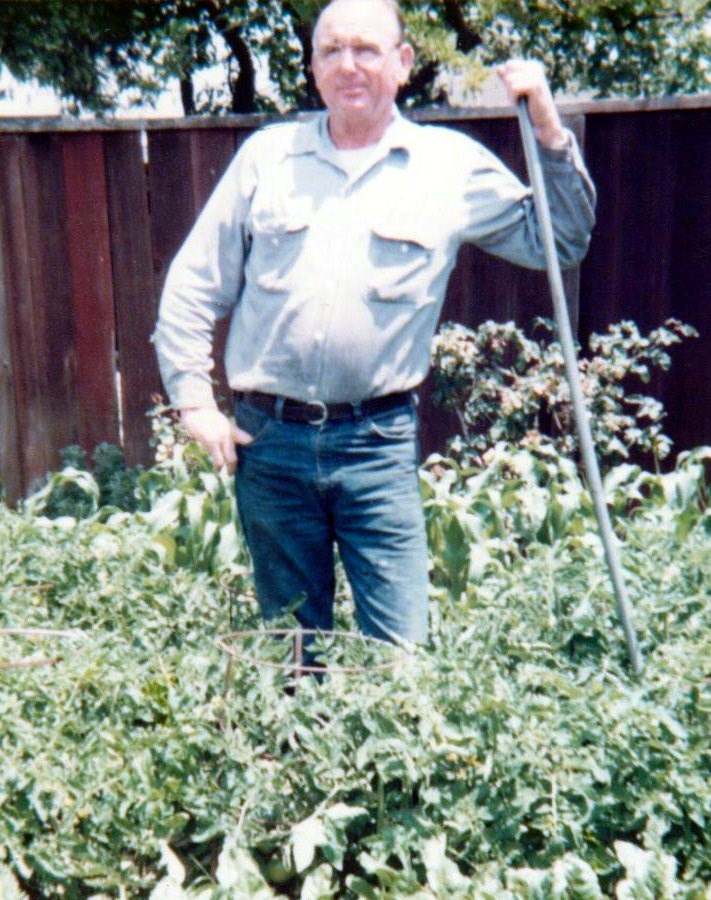 William "Bill" Goines Obituary Lower Lake, CA