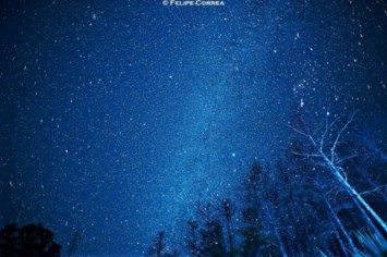 Obituary of Jack Bradley