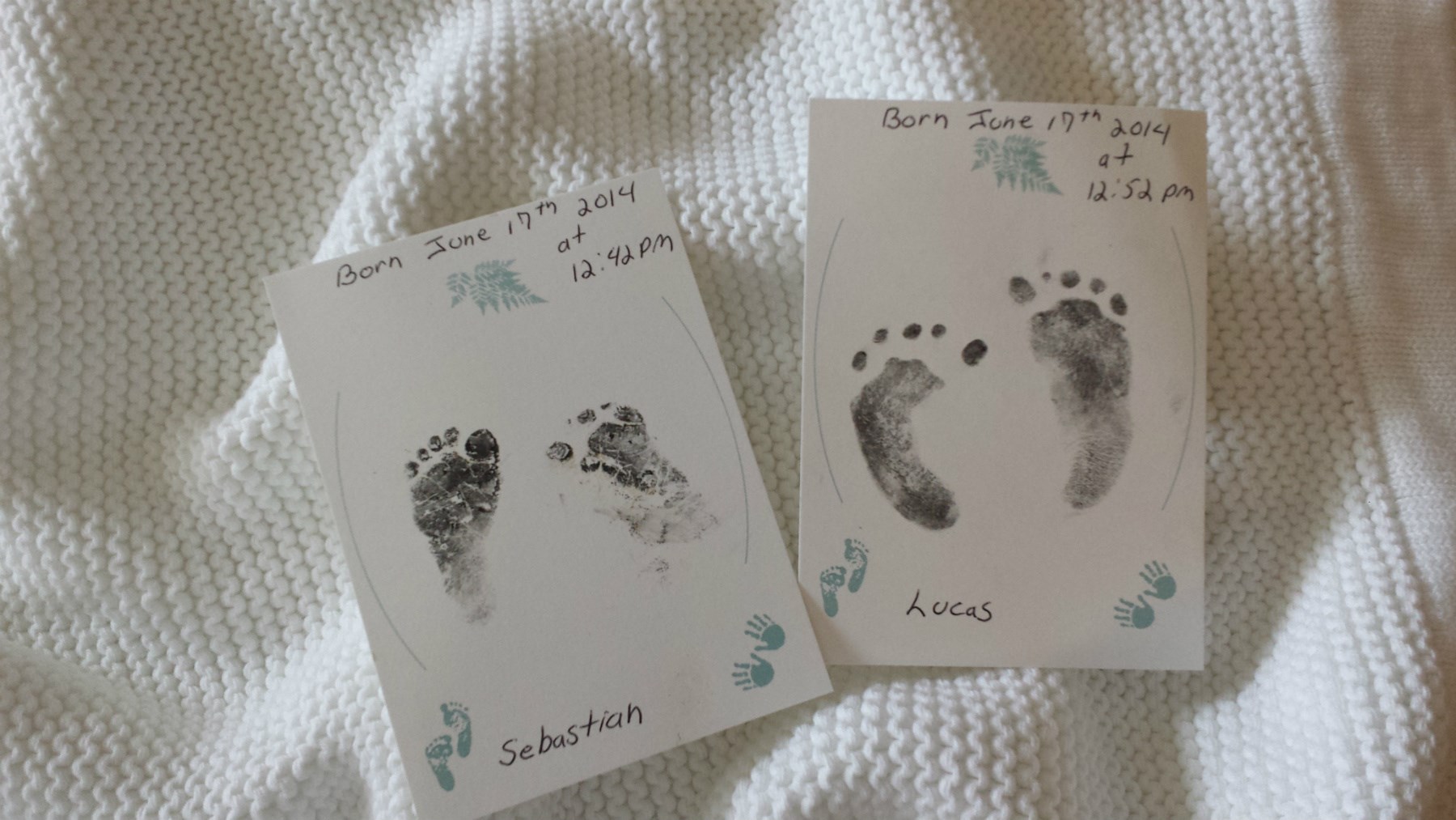 Obituary of Sebastian and Lucas Ferreira