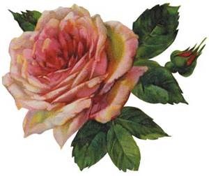 Obituary of Dorothy Joyner Moore