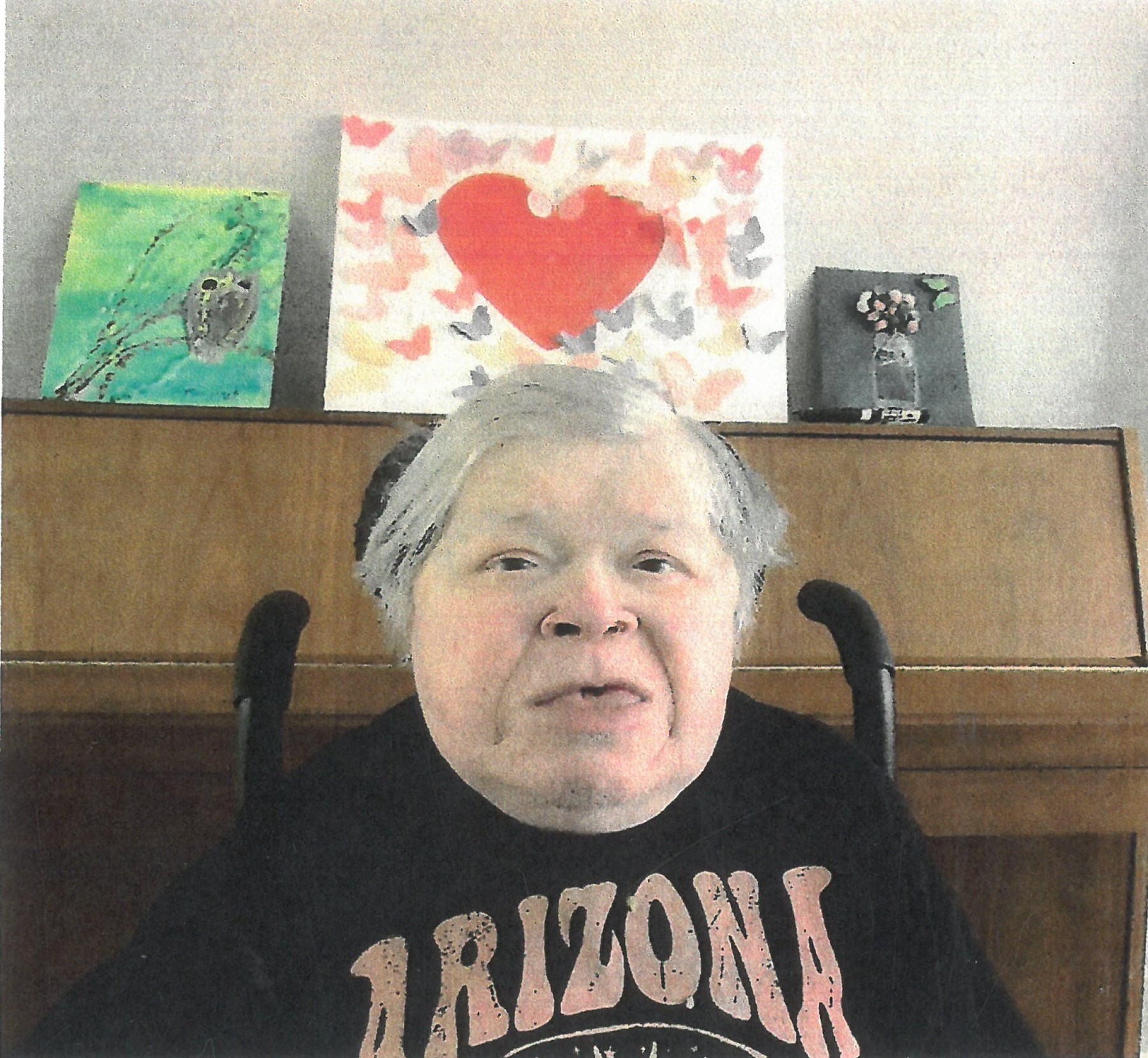 Obituary of Mr. Stephen Daniel Merilees