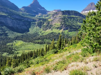 Obituary of Harold Leslie Worthley