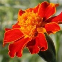 Obituary of Jordan P. Downs