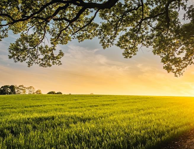 Avis de décès de Phyllis S. Carr