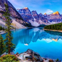 Obituary of Harold M Miller