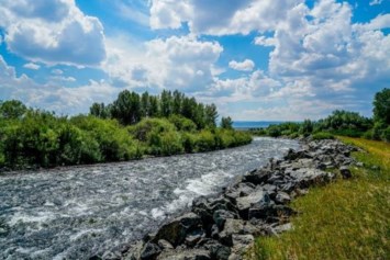 Obituary of Michael Kenneth Nicholson