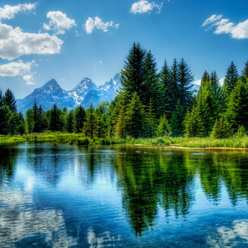 Obituary of Milton R.C. Gray