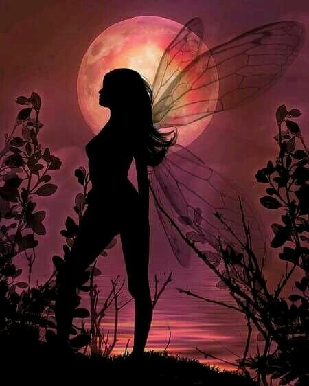 Obituary of Erin LADWIG