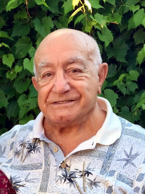 Obituary of Basil Serour