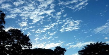 Obituary of Lowell Thomas Machado