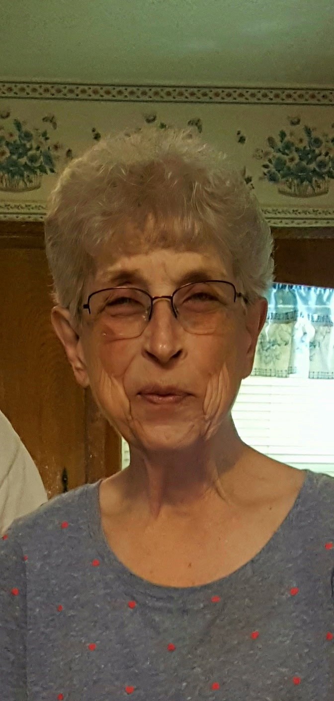 Obituary of Barbara Ann Fanestiel