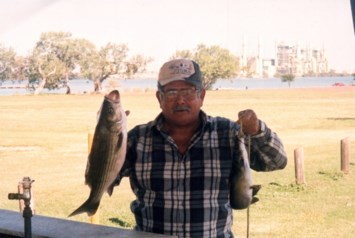 Obituary of Guadalupe A. Alvarado