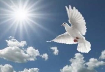 Obituary of Reyna Amalia Alfaro