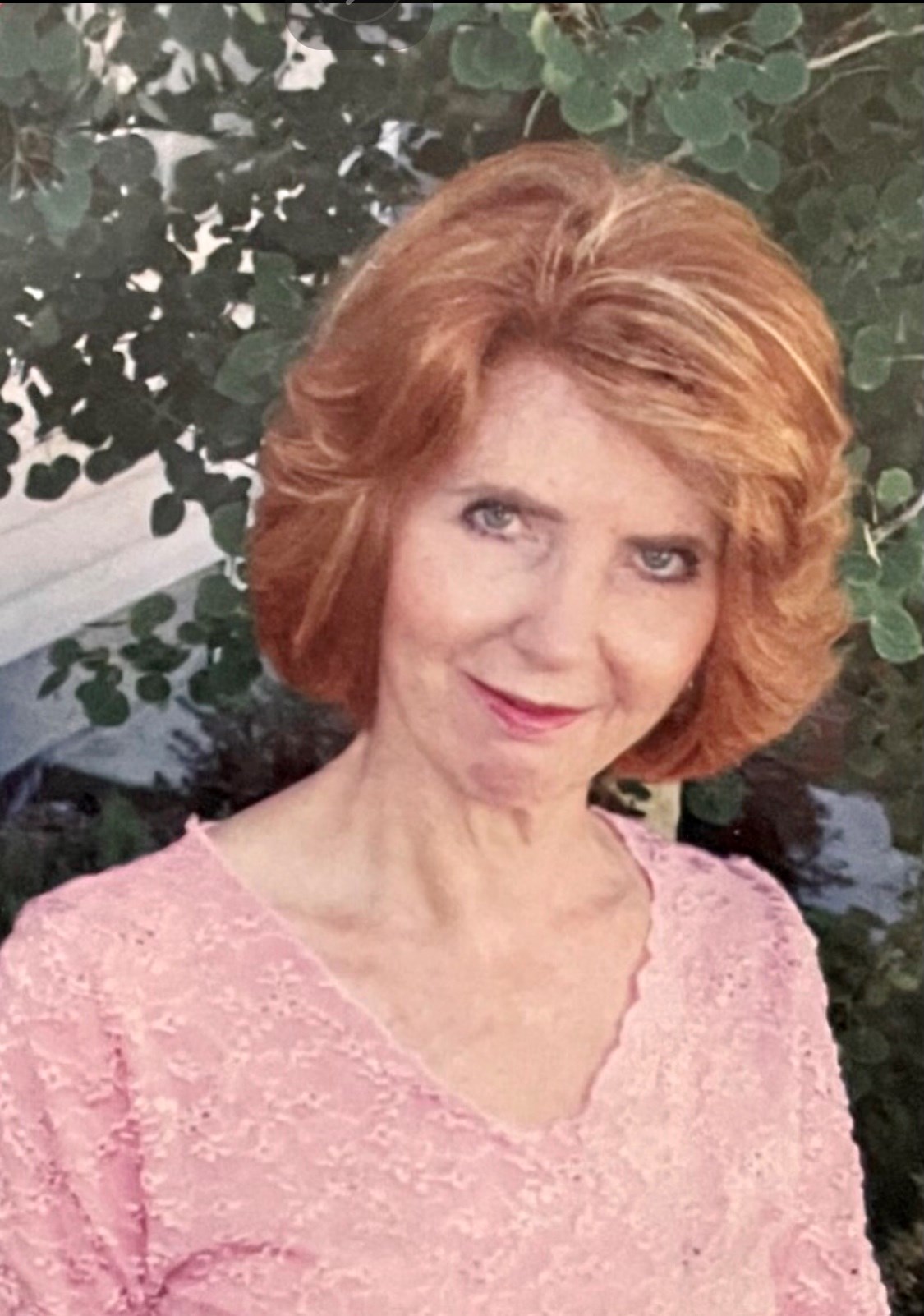 Obituary of Sandra Jeanne Petrov