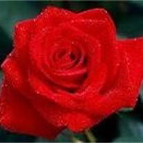 Obituary of Madeline Bly