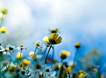 Obituary of Veronica K. Jablonski