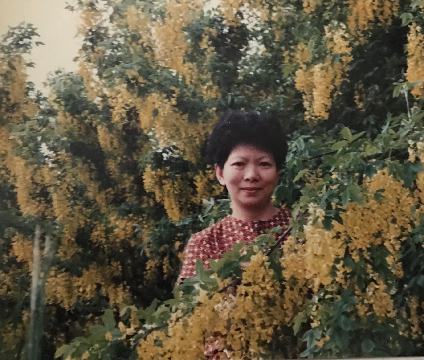 Obituary of Chanly Oum