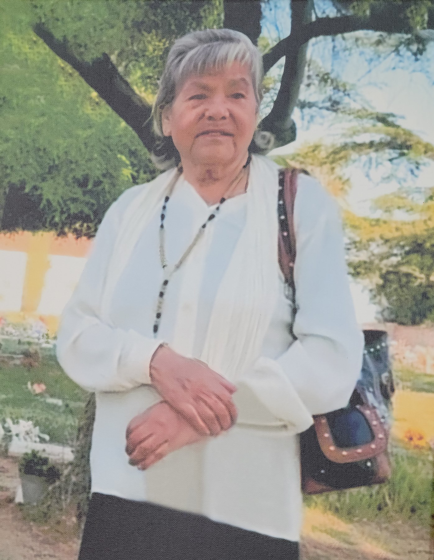 Obituary of Albertina Morales de Cisneros