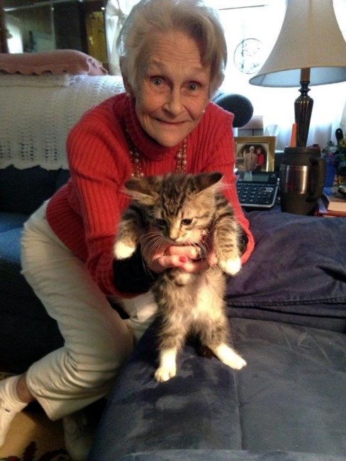 Obituary of Anita Louise Miller Cunningham