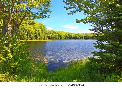 Obituary of Robert Allen Melvin Emminger