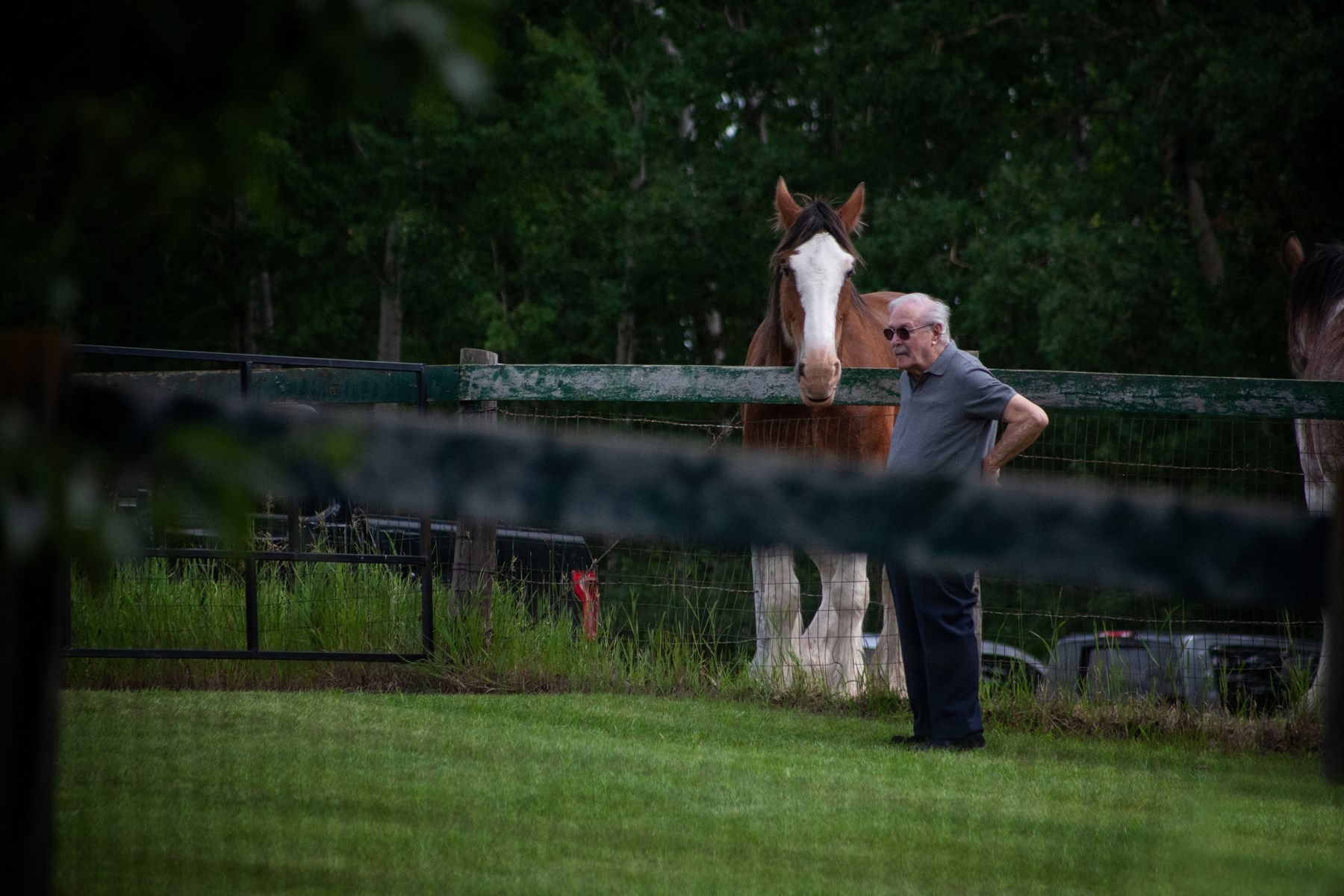 Obituario de Steve Sawarin